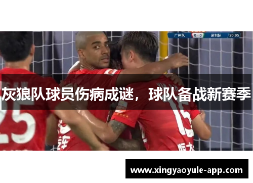 灰狼队球员伤病成谜，球队备战新赛季